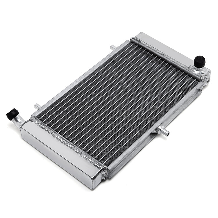 For Aprilia RS125 2T 1995-2011 / RS125 GS 1992-1994 / RS125 SportPro 1993-1994 / Tuono 125 2003-2004 Aluminum Water Cooler Radiator