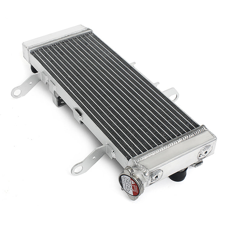 thumbnail image 2 of ZIEGER Radiator Grille Guard For Suzuki SV 1000 N/S (2003-2007) – Stainless Steel 2 of 3
