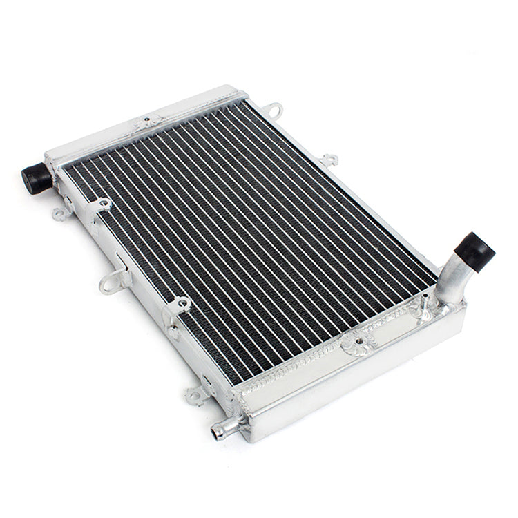 For Yamaha FZ1 FZS1000 Fazer 2001-2005 / FZS1000S Fazer 2003-2005 Aluminum Radiator 5LV-12461-00-00
