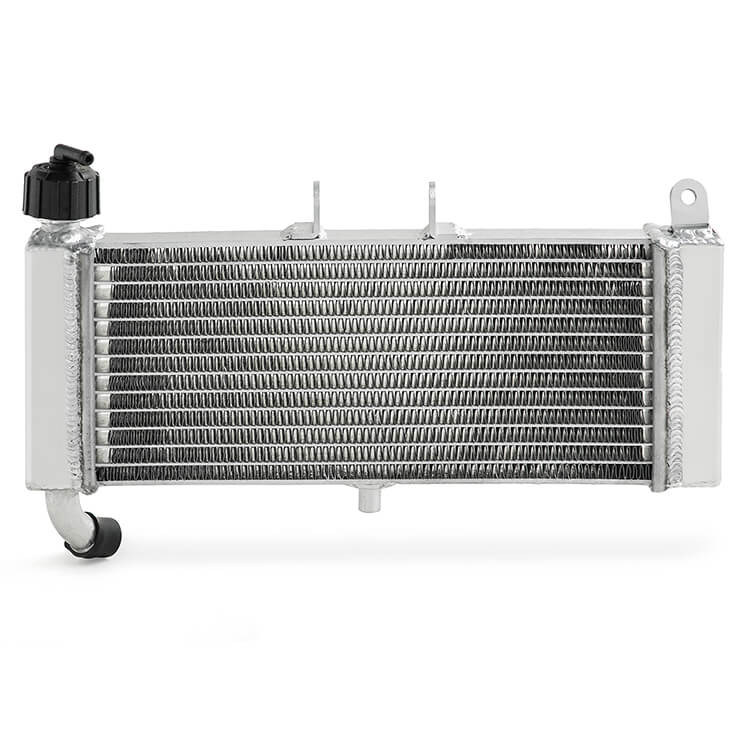 For Aprilia RS4 50 11-23 / RS125 4T 11-22 / Tuono 50-125 17-23 / Derbi GPR 50 09-15 Aluminum Water Cooler Radiator