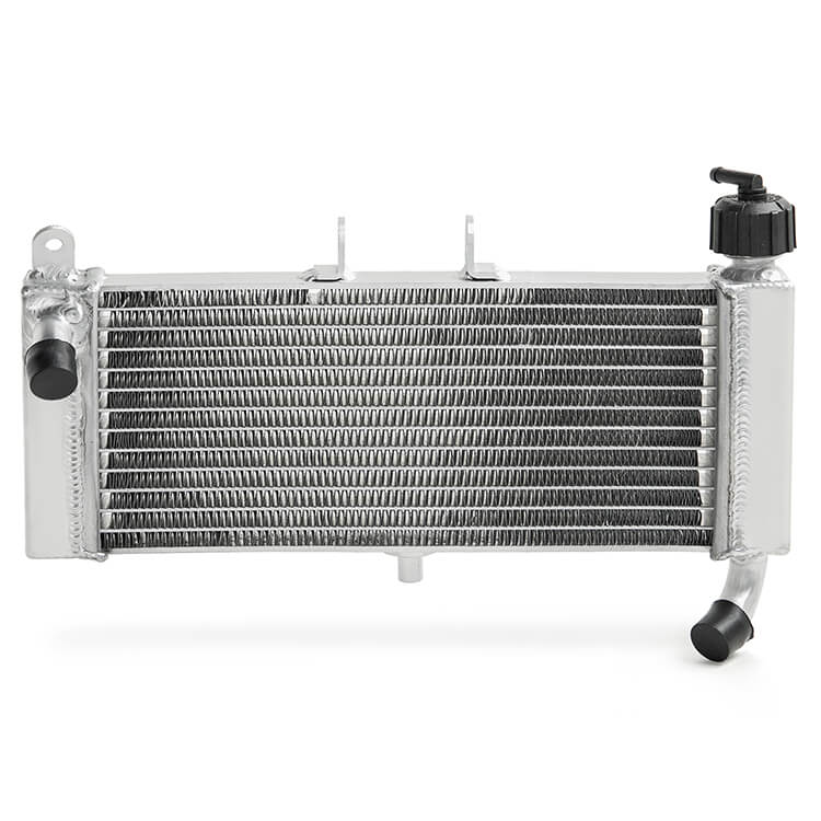 For Aprilia RS4 50 11-23 / RS125 4T 11-22 / Tuono 50-125 17-23 / Derbi GPR 50 09-15 Aluminum Water Cooler Radiator