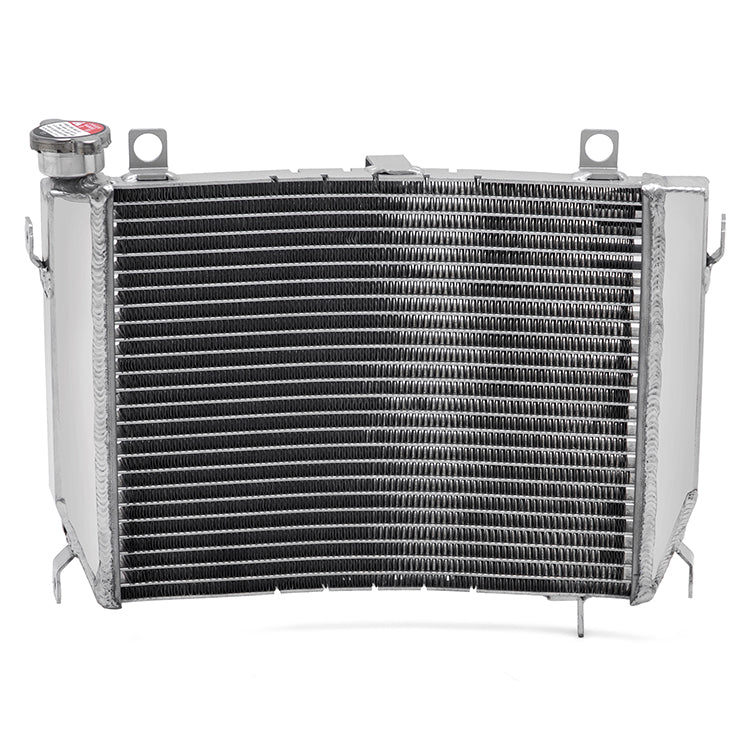 For Aprilia RS 660 2020-2023 / Tuono 660 2021-2023 Aluminum Water Cooler Radiator