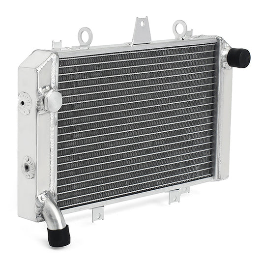 For Kawasaki ZRX1100 1996-2000 / ZRX1200 2001-2006 Aluminum Water Cooler Radiator 39060-1176