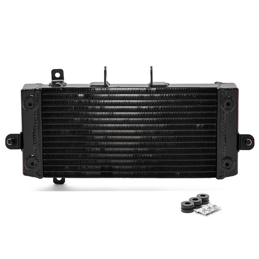 For Suzuki GSX250R V-Strom 250 Inazuma 250 2012-2021 TIG-Welded Heavy-Duty Engine Radiator Replacement 17710-48HA0