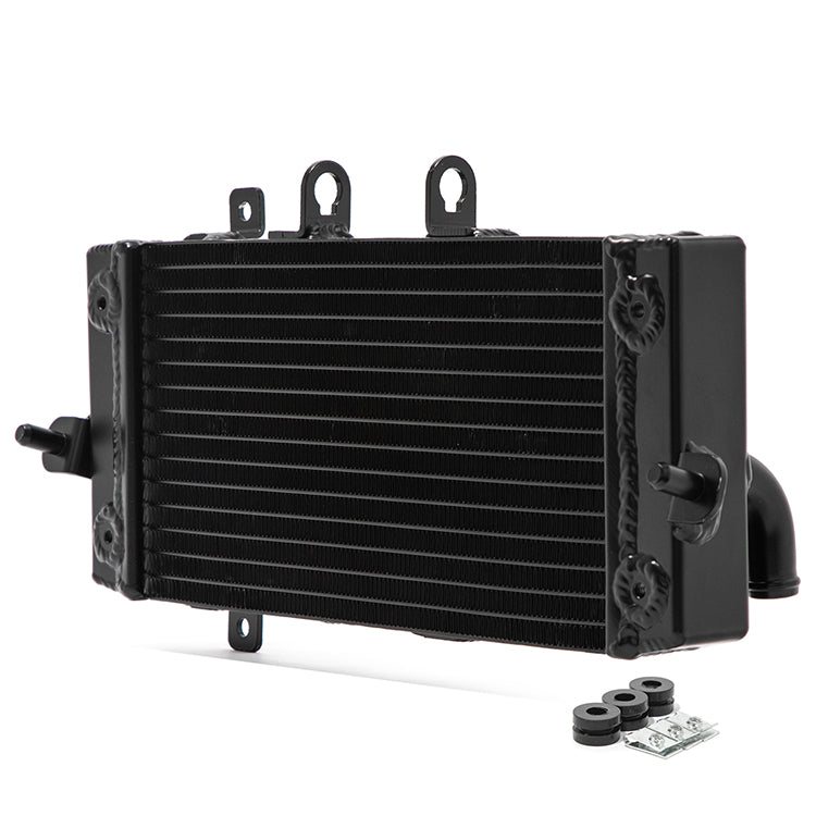 For Suzuki GSX250R V-Strom 250 Inazuma 250 2012-2021 TIG-Welded Heavy-Duty Engine Radiator Replacement 17710-48HA0