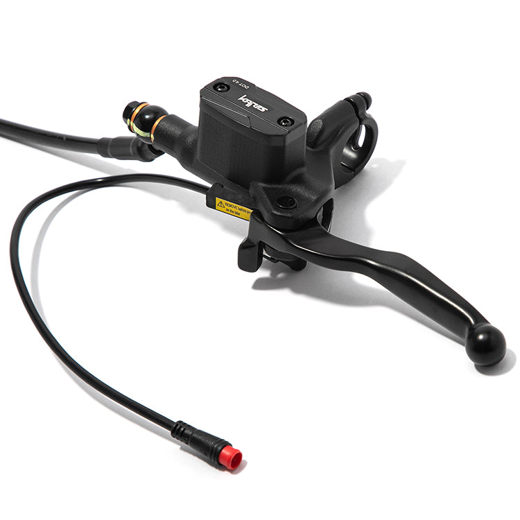 Front / Rear Hydraulic Brake Lever Cylinder Pump Assembly Kit for Rawrr Mantis X Pro